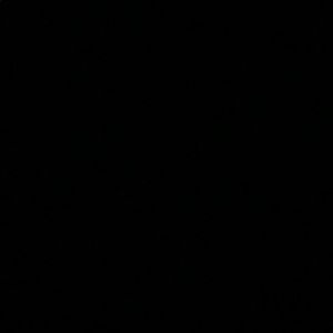 Meet your Posher, Shawn